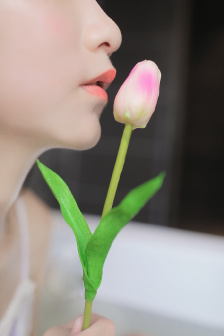 谋局电视剧全集